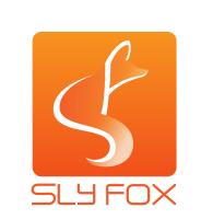 SlyFox Web Design & Marketing Hamilton image 1